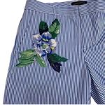 Banana Republic Stripe Blue and White
Shorts(Size 4) Photo 2