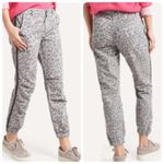 Sundry  Anthropologie Gray Leopard‎ Camo Joggers Size 29 Photo 1
