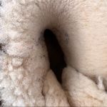 UGG  Australia Bailey Bow 2 sheepskin winter boots Photo 5