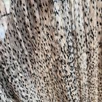 Adrianna Papell Vintage Cream And Black Dress Photo 5