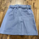 Francesca's Light Blue Skirt Photo 2