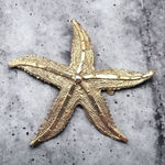 Vintage Women's Gold Tone Brushed Textured Ribbed Edge 5 Point Starfish Brooch Photo 0