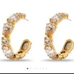 Lele Sadoughi New   Crystal hoop earrings Photo 1