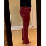 CAbi  Mid-Rise Bordeaux Maroon Skinny Jeans Curvy Fit, Size 6 Photo 2