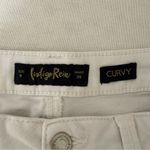 Indigo Rein White Denim Shorts‎ Button Fly Distressed Frayed Hem Casual Photo 4