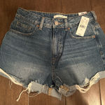 PacSun  Jean Shorts Mom Photo 0