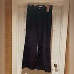 Levi's LEVI’S Flare Ribcage Bell Jeans Black Dark  24W-32  Cordur NWT Photo 1