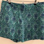 Talbots NWT Green And Blue Shorts Photo 0