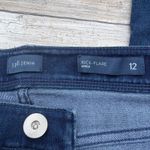 J. Jill Denim Jeans Sz 12 Kick Flare Ankle Darn Wash Distressed Raw Hem NWT Blue Photo 4
