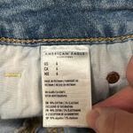 American Eagle  Curvy Hi-rise Jean Shortie Distressed denim Shorts light wash 6 Photo 11