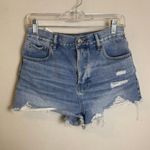 PacSun  Festival High-Rise Shorts Photo 0