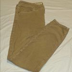 Pilcro and the Letterpress  Tan Corduroy Pants Photo 0