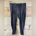 House of Harlow Velour Joggers Gray Size XL Photo 1