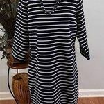 Talbots  Women Shift Strip dress Size L 3/4 Sleeve 1/4 Zipper Back Collared Photo 0