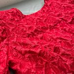 Mioh CONCERT RED Photo 9