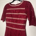Antonio Melani  Ella Lace Dress Photo 4