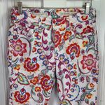 Anthropologie Floral Cottagecore Garden Pilcro Mid-Rise Skinny Jeans W-210 Sz 27 Photo 5