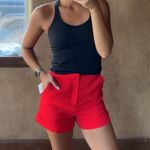 Endless Rose  Shorts Photo 0