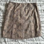 Wild Honey Skirt Photo 0