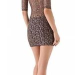 Nightcap Lace Bodycon Mini Dress: Bronze Photo 1