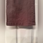 Cosmic Blue Callie Eco Bootcut Pant Women’s Desert Brown Size 33 Photo 5