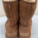 UGG  CLASSIC SHORT ll WATER RESISTANT CHESTNUT Winter Boots Photo 4