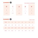 Sundry Only 1 left! NWT  by Anthropologie bolt oversized sweatshirt, size 3. (L) Photo 2