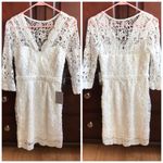Lulus NWT White Lace Cocktail Dress Photo 2