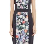Ted Baker NWT Akva Kensington Floral Dress Photo 6