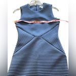 Calvin Klein NWT  Blue striped scuba sheath midi dress, 6 Photo 5