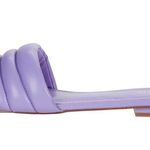 ALDO 🆕 Goani - Purple Sliders Sandals Photo 3