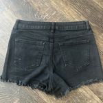 Wax Jean Black Jean Shorts  Photo 1