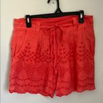 Beulah Pink High Waist Shorts with Eyelet Design. size Medium Photo 0