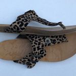 blowfish Malibu Women’s Animal Print Buckle Detail Sandals Sz 8 Photo 6