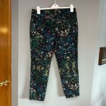 Derek Lam  For Design Nation Sz 10 Rio Capri Pants In‎ Nightshade Organic Cotton Photo 5