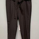 Ann Taylor  Mid Rise Ankle Black Dress Belted Pants Dotted 16 Photo 0