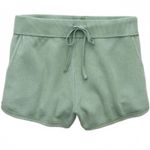 American Eagle AE Saltwash Fleece Short  Dried Sage Green NWT Small Photo 3