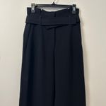 Aritzia Babaton Jermaine High Rise Wide Leg Belted Crepe Pleated Pant Size 8 Photo 4