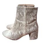Urban Outfitters  Thelma Ankle Bootie Block Heel Snakeskin Print Gray Size US 8 Photo 1