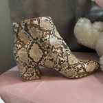 Steve Madden  Booties Photo 1