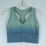PINK - Victoria's Secret Victoria’s Secret Pink Green/Blue Ombré Seemless Lightly Lined Sports Bra Size L Photo 0