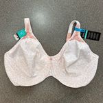 Bali Passion For Comfort Full Photo 4