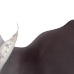 Jump  Y2k‎ Junior's Size 3/4 Bedazzled Whimsigoth Ombre Purple Maxi Prom Dress Photo 12