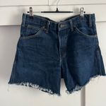 Dickies Baggy  shorts ( jorts) Photo 0