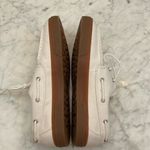 Timberland New  white canvas shoes Photo 2