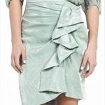 Karen Kane CALL OF THE CANYON RIVIERA SKIRT NWT size XS champagne color women’s Photo 2