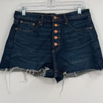 Lucky Brand Lucky brand button fly lucky pins shorts 8/29 Photo 0
