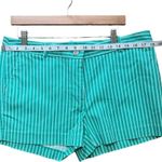 Michael Kors Turquoise Striped Shorts Women Size 12 Flat Front Button Zip Preppy Photo 7