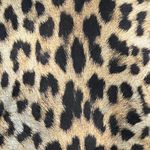 Leopard / Cheetah tank top S animal print wildlife edgy Photo 2