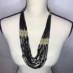 Sophia Collection NEW  Large Beaded Statement Necklace and Earrings 28” Photo 0